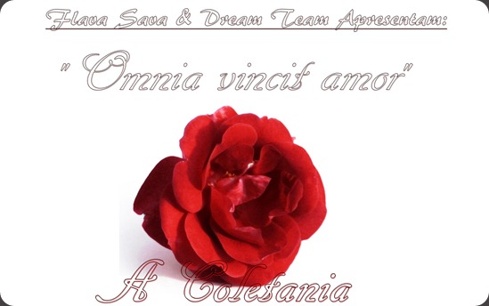 red-rose-23-wallpapers