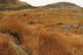 Haweswater Lake District in Autumn