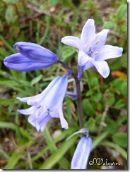 P1000206