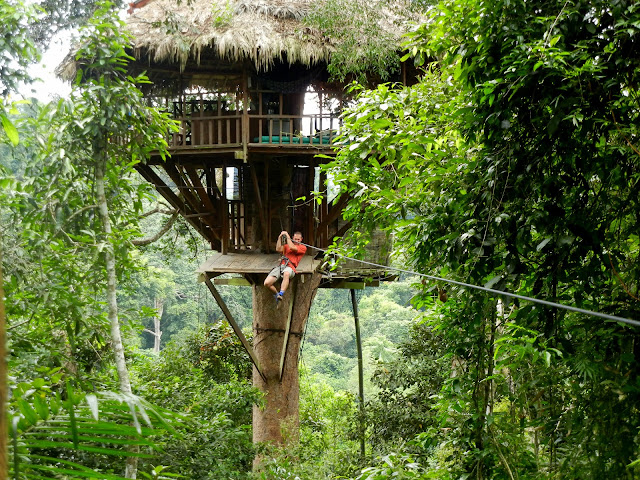 zipline-bokeo-nature-reserve