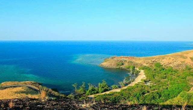 Destinasi Favorit Untuk Diving Dan Snorkeling Di Nusa Tenggara Timur 