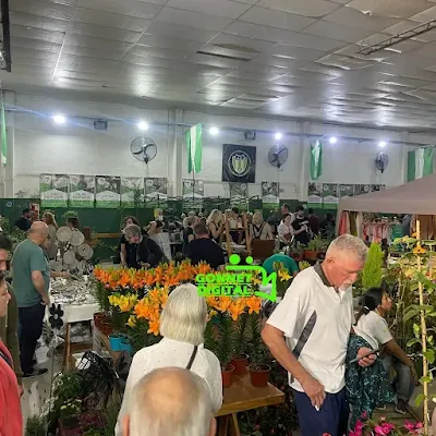 Vista aérea de la 6ta Expo Vivero 2024 en City Bell. Miles de visitantes disfrutan de un día lleno de naturaleza, plantas y actividades relacionadas con la jardinería