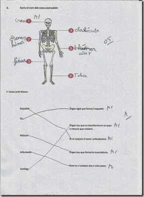 1º trimestre 003