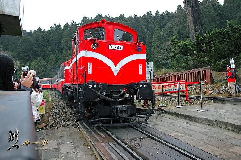 沼平車站｜沼平公園櫻花季｜嘉義阿里山國家森林遊樂區景點｜阿里山櫻花季