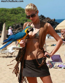 Paris Hilton in the beach