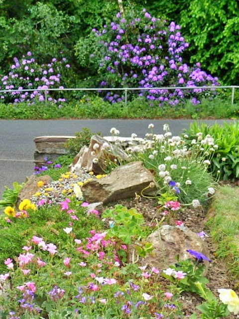 Flowers on both sides of the road, Cornwall