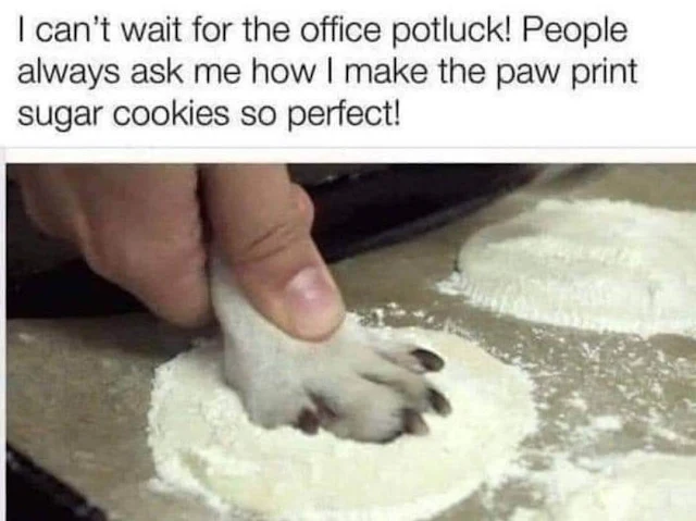 paw print cookies