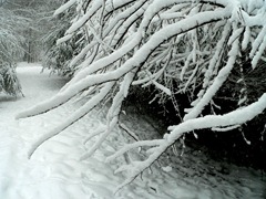P1140454[1]