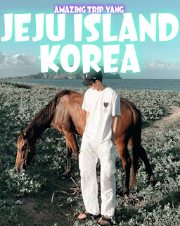 Jeju Island South Korea Instagram Photos