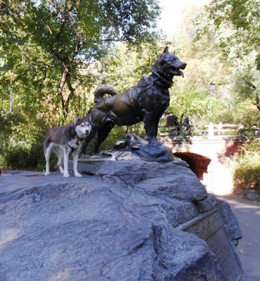 9 GREAT DOG FRIENDLY TRAVEL DESTINATIONS ACROSS THE U.S.  Central park, New York City