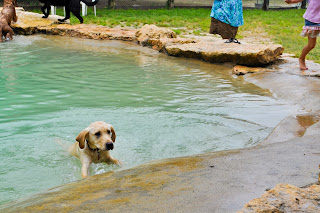 Bob completely in the water, only his head is showing