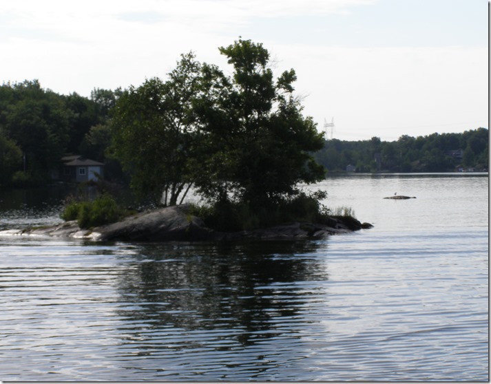 P7290847