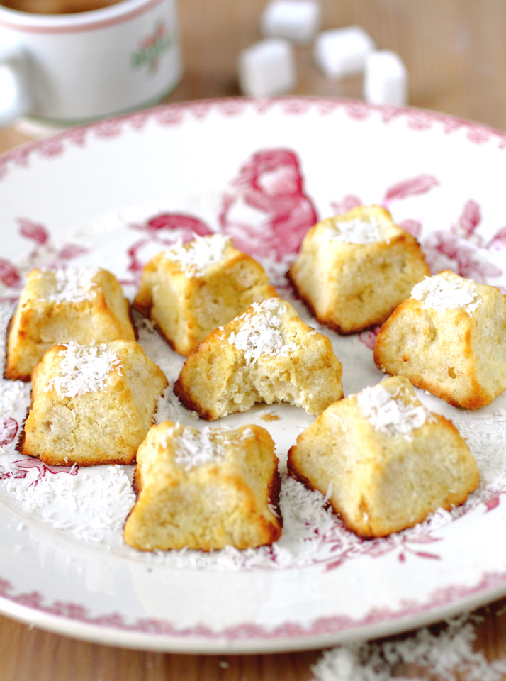 Rochers Coco légers à l'Okara