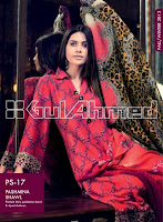 Winter Pashmina Shawls 2013-2014 By Gul Ahmed-22