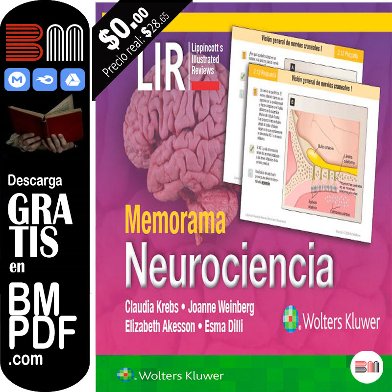 Memorama Neurociencia PDF