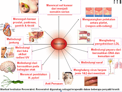 Manfaat Kesihatan Resveratrol