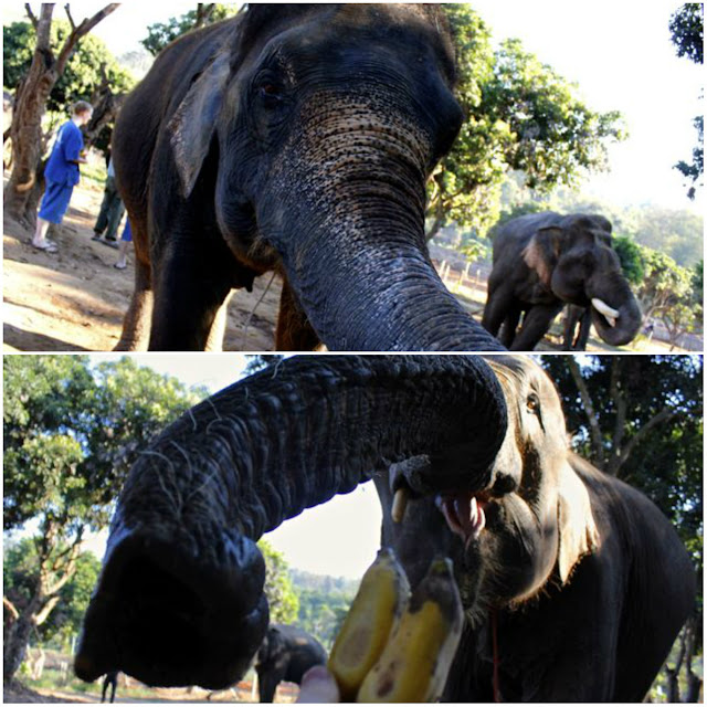 chiang mai