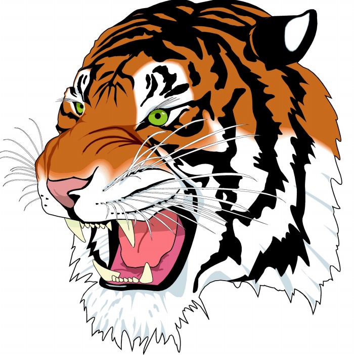 Gambar Kepala Harimau Terbaru gambarcoloring