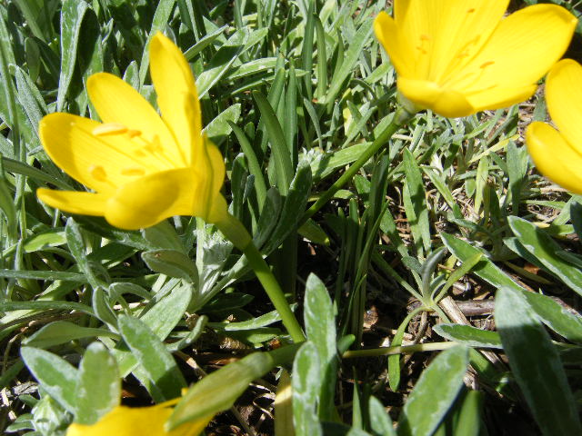 2010_10020007.JPG