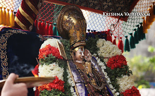 Thanga Pallakku, Thiruavathara Utsavam,1000th Birthday ,Udaiyavar ,Udayavar,Sashrabdhi Utsavam, Ramanujar,Emperumanar, Thiruvallikeni, Sri PArthasarathy Perumal, Temple, 2017, Video, Divya Prabhandam,Utsavam,