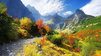 Thanksgiving Autumn Wallpaper