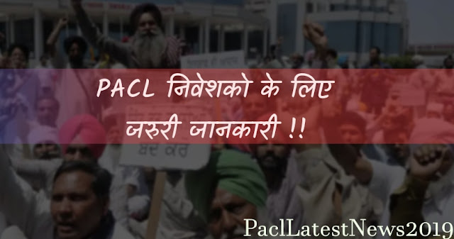 PACL Latest News in hindi