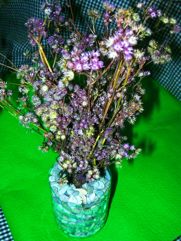 berbagi gagasan Vas Bunga  Kering  untuk Bunga  Rumput 