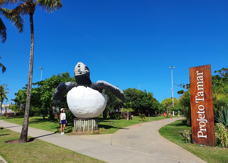 Aracaju: quando ir, o que fazer, onde ficar...