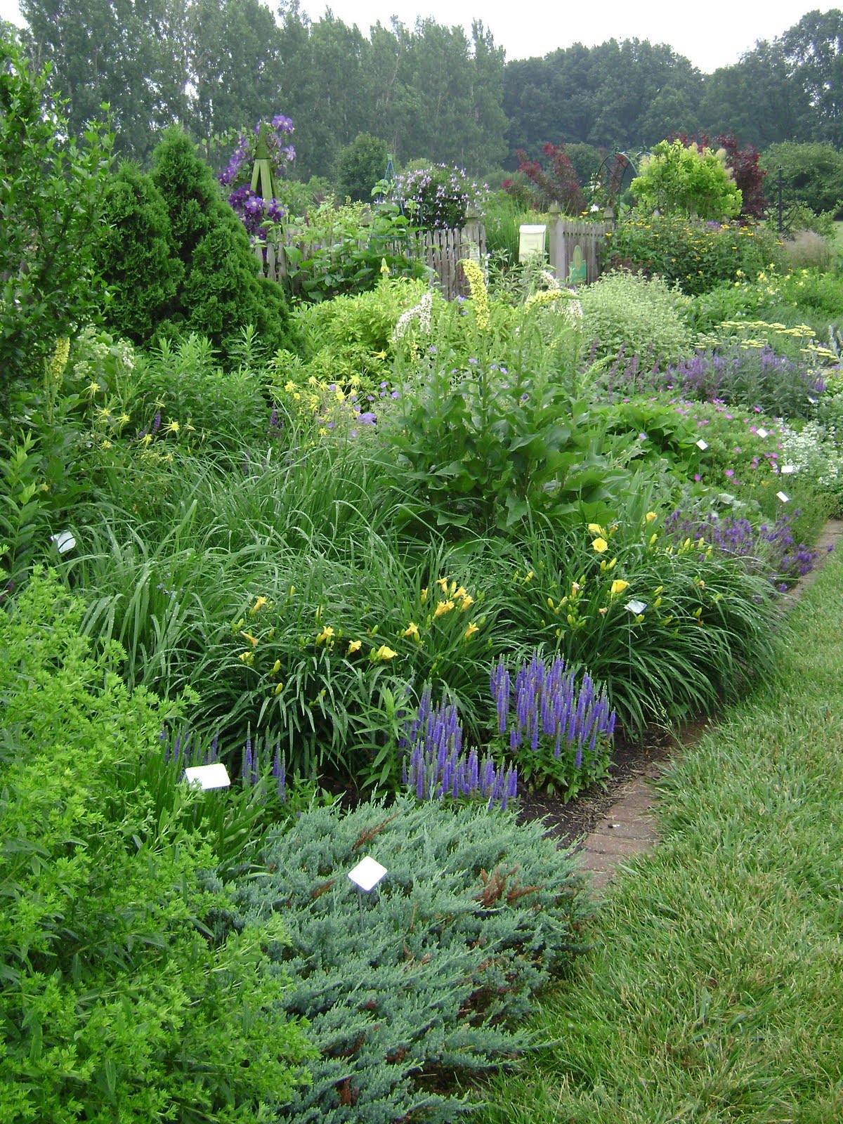 Prairie Roses Garden: Ideas Galore in the Idea Garden