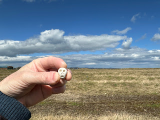 A photo of a small, ceramic skull (Skulferatu 127) being held up with a grassy wasteland in the background.  Photo by Kevin Nosferatu for the Skulferatu Project.