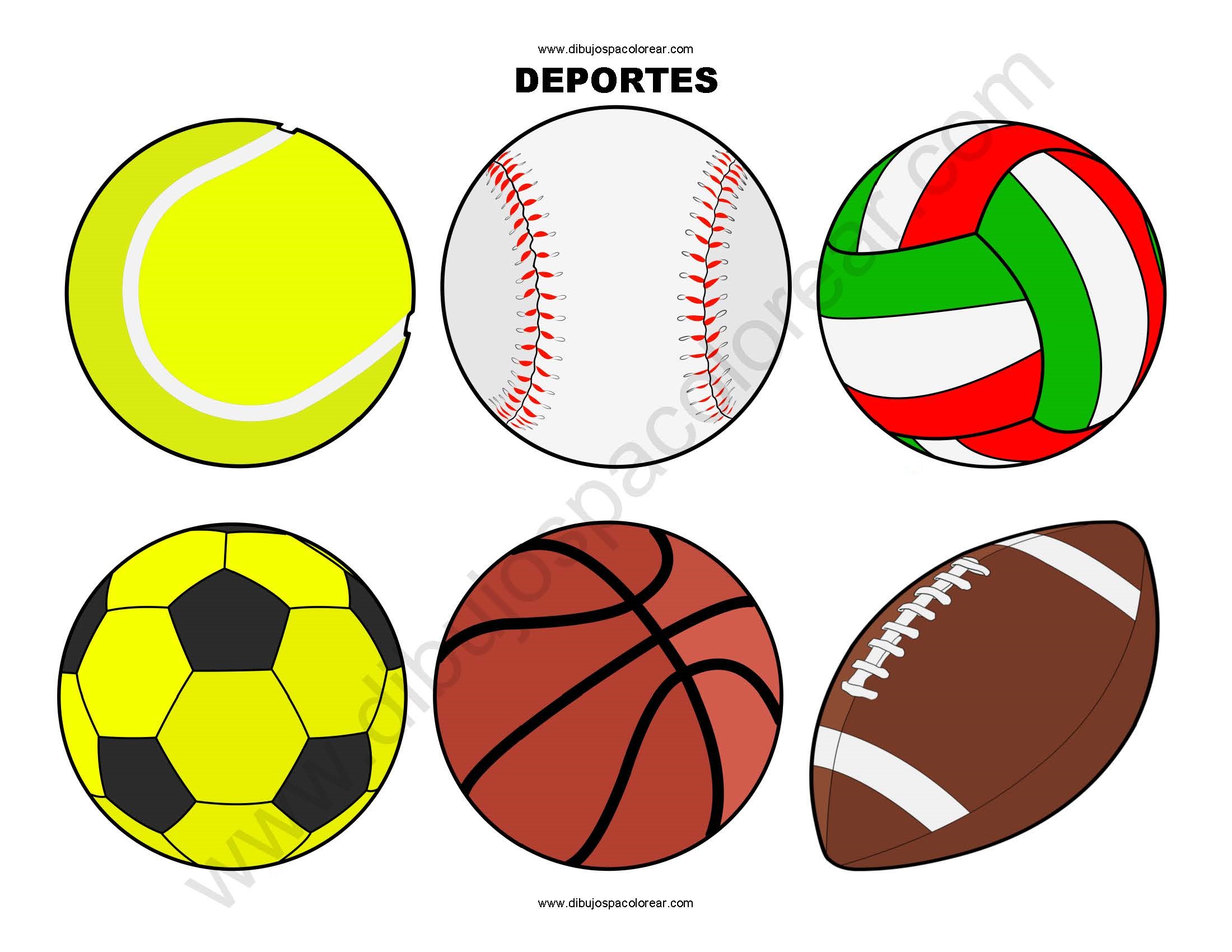 pelotas de deportes a color o para colorear