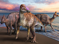 New duck-billed dinosaur species discovered in Japan.