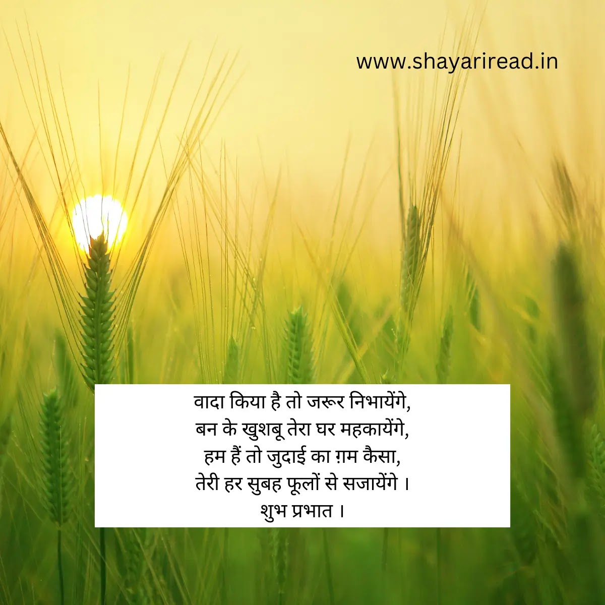 Good Morning Quotes In Hindi For Whatsapp