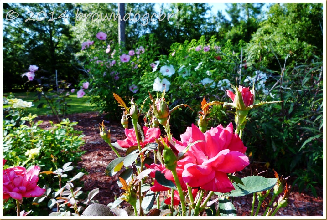 P1370588