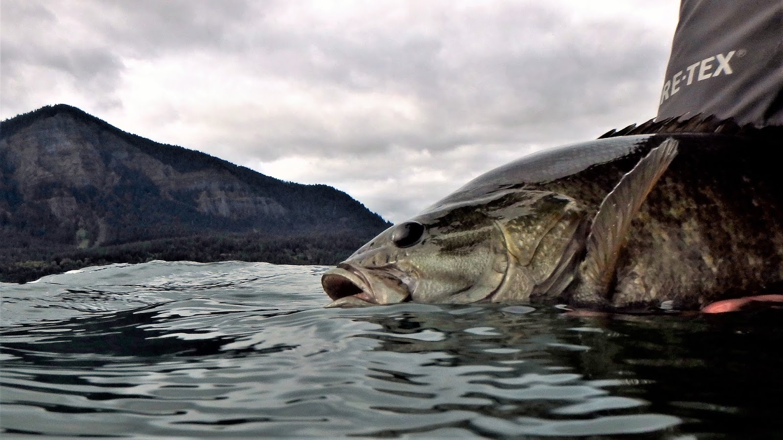 Gorge Fly Shop Blog: Predator Hunt - Rigging and Fishing Crawfish