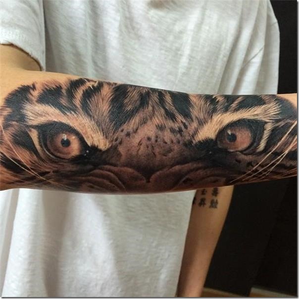 ojos-de-tigre-que-todo-lo-ve-todo-lo-ve ojos-de-tigre-que-todo-lo-ve-todo-lo-ve