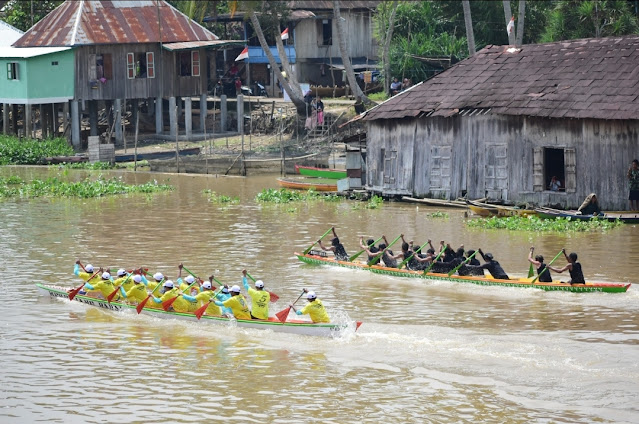Serunya Lomba Kebut Perahu Berhadiah Sapi dan Kerbau di Sungai Babatan