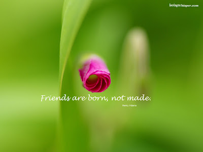 wallpapers of friendship with quotes. friendship quotes backgrounds.