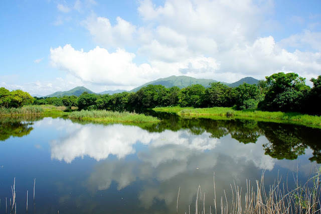 WWF Mai Po Hong Kong Nature Reserve