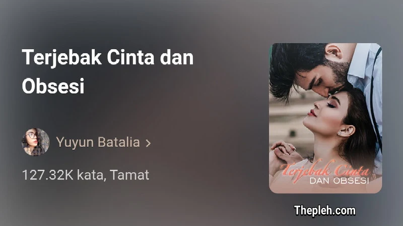 Novel Terjebak Cinta dan Obsesi Full Bab