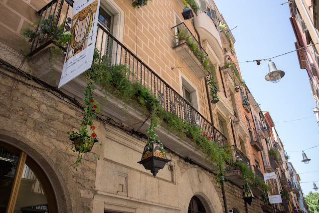 Праздник цветов в Жироне 2015 (Temps de Flors Girona 2015)