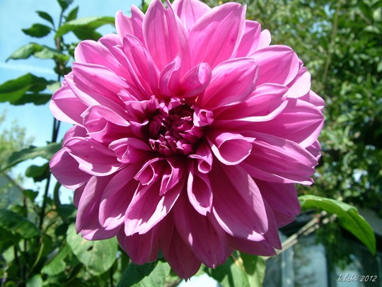 DSCF0018