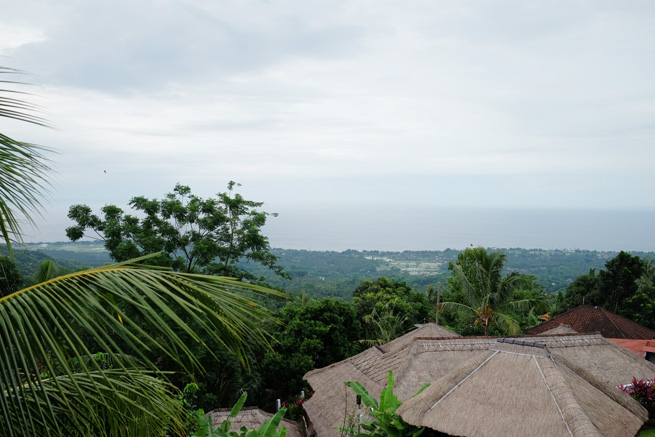 ... jatuh sakit karena terakhir saya ke bali saya sakit dan muntah muntah