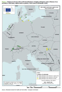 http://ecdc.europa.eu/en/publications/Publications/risk-assessment-avian-influenza-H5N8-europe.pdf