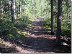 IMG_0190 (640x473)