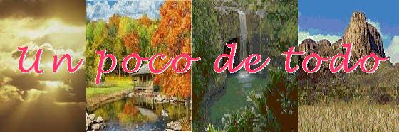 Un poco de todo