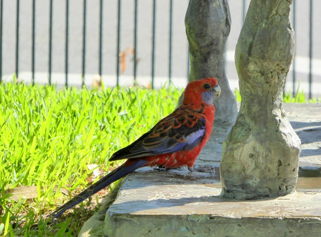 P1080858
