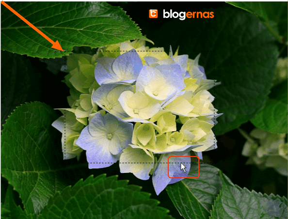 Cara Cropping Online Foto di Situs Resize