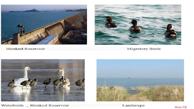 Hirakud Reservoir Odisha Facts in Brief