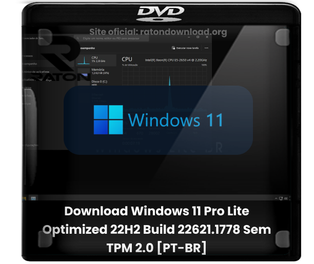 Raton Download - Desde 2007: Download Windows 11 Pro Lite v22H2 Build  22621.1778 [PT-BR]